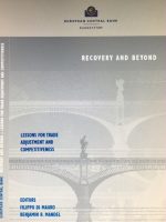 recoveryandbeyond_ecb